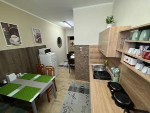 Kuchyň nebo kuchyňský kout v ubytování Jasmin dog friendly pension with shared kitchen and hearty breakfast in the center