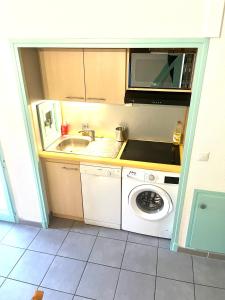 a small kitchen with a sink and a washing machine at Maisonnette les oliviers in Argelès-sur-Mer +19 photos