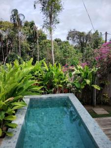 una piscina en un jardín con plantas en Casa Rubi Trancoso, en Porto Seguro