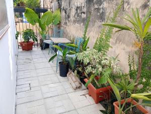 a patio with tables and chairs and plants at Temporario Del Centro in Paso de los Libres