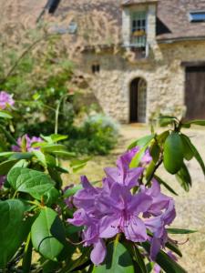 a purple flower in front of a building at La Suite Richarvilloise in Richarville +7 photos