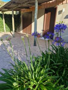 un jardin avec des fleurs violettes en face d'un bâtiment dans l'établissement Casa aconchego!, à Gramado