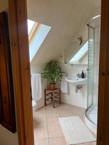 a bathroom with a sink and a shower and a toilet at Ferienhaus Feldblick mit Kamin für 15 Personen in Rüdersdorf