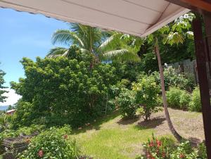 Zahrada ubytování Garifuna Retreat Apartment