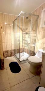a bathroom with a shower and a toilet at REFUGIO RIVER PUELO in Puelo