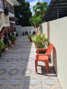 Foto sihtkohas Scarborough asuva majutusasutuse Breadfruit lodge galeriist