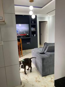 un chien debout dans un salon avec une télévision dans l'établissement Casa na praia no Guarujá, à Guarujá 1 autre photo
