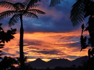 a sunset with a palm tree and mountains in the background at Heaven in Bali in Penginyahan +43 photos
