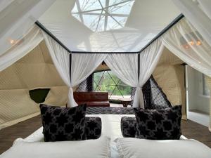 a bedroom with a tent with a bed and pillows at Suites Casa ColibrÍ in Mindo +114 photos