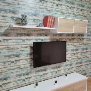 - une télévision à écran plat sur un mur en bois dans l'établissement Apartamento ESPERANZA DE LA YEDRA, à Jerez de la Frontera
