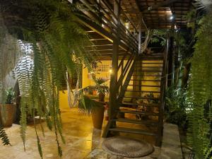ジェリコアコアラにあるVilla Valenciaの鉢植えの植物がたくさん並ぶ部屋