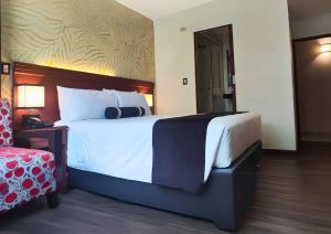 Letto o letti in una camera di Hotel Ferré Machu Picchu