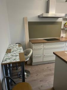 Kuchyň nebo kuchyňský kout v ubytování Nice Accommodati on 5 minutes from the center Goca 2