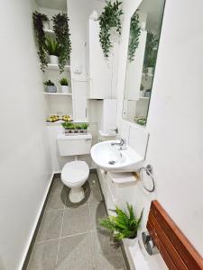 a bathroom with a toilet and a sink with plants at GDY1 - The Green Dragon Apartment in London