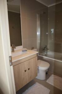 a bathroom with a sink and a toilet and a tub at Centro Osorno Express in Osorno +13 photos