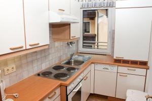a small kitchen with a sink and a stove at Appartment Viertler in Sölden