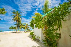 Faza View Inn, Maafushi في مافوشي: بناء على الشاطئ مع أشجار النخيل
