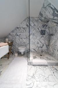uma casa de banho com um chuveiro e um WC. em Family Hotel Okoř em Okoř