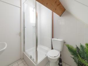 a bathroom with a shower with a toilet and a sink at Holiday Home in Peaceful Dutch Park with Terrace in Wemeldinge +26 photos