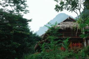 a house with a thatch roof in a forest at Mu Retreat in Vũ Lao