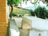 Príroda v okolí of the country house