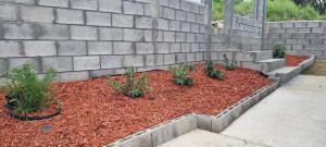 un giardino con piante in una parete di mantenimento di Rest Easy at Cunningham Suites 3 & 4 a Ottleyʼs Village