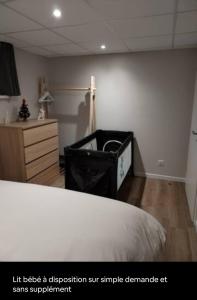 ein Zimmer mit einem Bett und einer Kommode und ein Zimmer mit einem Bett Petertodd in der Unterkunft Gîte le petit wintz 4 personnes avec son jardin privatif - Parking avec borne de recharge pour véhicule électrique 22Kw - 2 vélos in Wintzenheim