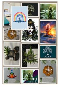 Gallery image of Su Casa CBD 420 Wellness Centre NGO in Pietermaritzburg