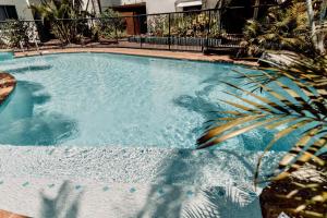 una grande piscina con una palma accanto di Headlands Beachside Retreat - 50 metres to beach ad Alexandra Headland