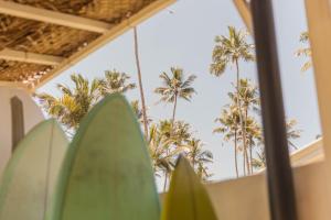 Foto sihtkohas Matara asuva majutusasutuse Surf Lodge Madiha galeriist