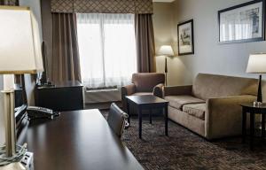 Posezení v ubytování Radisson Hotel Edmonton Airport