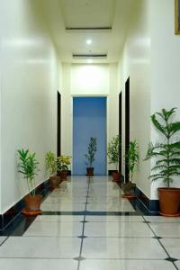 a hallway with potted plants and a blue door at Hotel Dior Near Jal Mahal, Jaipur in Jaipur