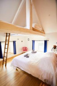 a bedroom with a loft bed and a ladder at chalet la forgerie Piscine Jacuzzi Cinéma in La Forge