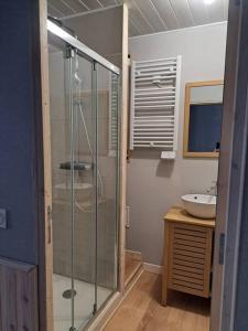 a bathroom with a shower and a sink at Studio proche centre-ville Dol-de-Bretagne in Dol-de-Bretagne