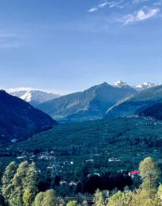 マナリにあるHouse of Soylのギャラリーの写真