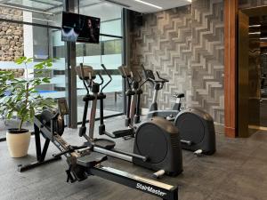 Fitness centrum a/nebo fitness zařízení v ubytování The Gaia Hotel Bandung