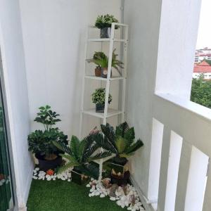 a white shelf with potted plants on a balcony at Kelantan Trade Centre in Kota Bharu