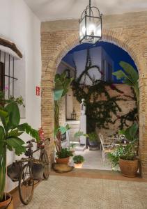 Zahrada ubytování Art Boutique La Casona de las Flores