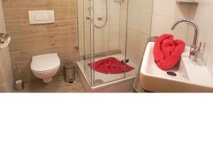 Un baño con ducha, inodoro y lavabo. en Ferienhof Haslach, en Immenstadt im Allgäu 17 fotos más