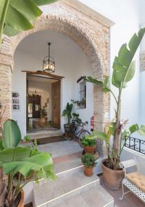 Zahrada ubytování Art Boutique La Casona de las Flores