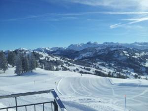 pokryty śniegiem stok z osobami jeżdżącymi na nartach w dół góry w obiekcie Studio Mythen w mieście Schwyz