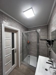 a bathroom with a shower and a sink at Садиба Магнолія in Tukhlya