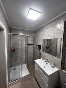 a bathroom with a shower and a sink and a shower at Садиба Магнолія in Tukhlya +10 photos