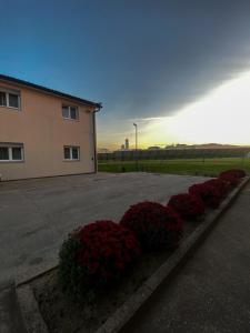 Budova, kde se hostel nachází