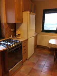 a kitchen with a refrigerator and a stove at Harcsási 60 Vendégház in Békésszentandrás