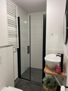 a bathroom with a shower and a white sink at Bigge Elements Gästezimmer 4 "Westen" 4 Personen in Olpe +8 photos