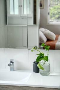 a bathroom with a plant in a vase on a counter at 87 on Crescent in Gympie