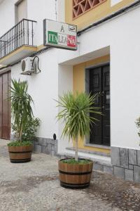 two palm trees in pots outside of a building at Hospedaria A Italiana in Moura