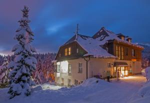 Foto de la galería de Hotel Domovina en Špindlerův Mlýn