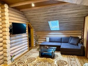 a living room with a couch and a tv at Апартаменти Фігля з видом на гори in Mukacheve